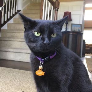 Meet your Posher, Erin